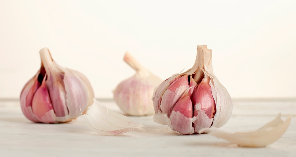Body wellness and nutrition